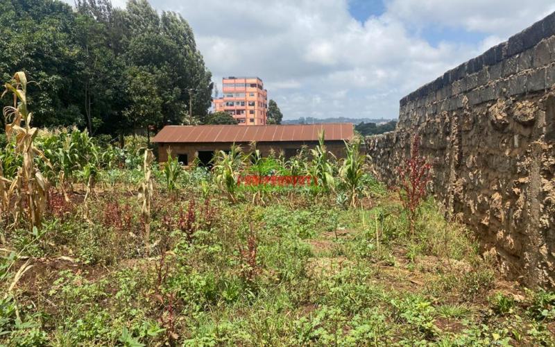 Commercial Plot For Sale In Kinoo