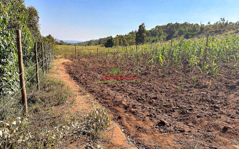 Residential Plots For Sale In Kikuyu ,kamangu.