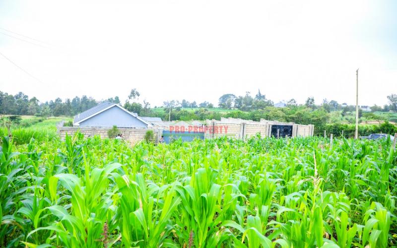 Prime Residential Plot For Sale In Kikuyu, Kamangu.