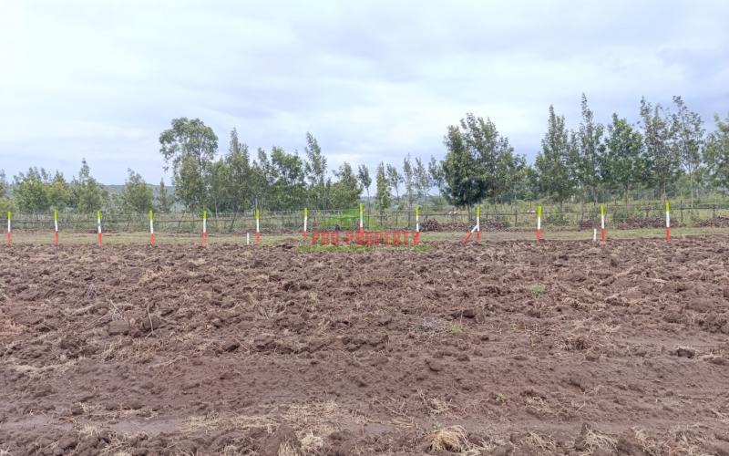 Hills View Estate Phase 4 - Kikuyu, Kamangu (nachu Area)