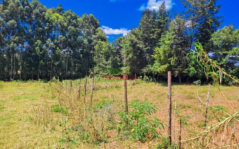 Prime Residential Plots For Sale In Kikuyu, Ondiri in A Gated Community Concept