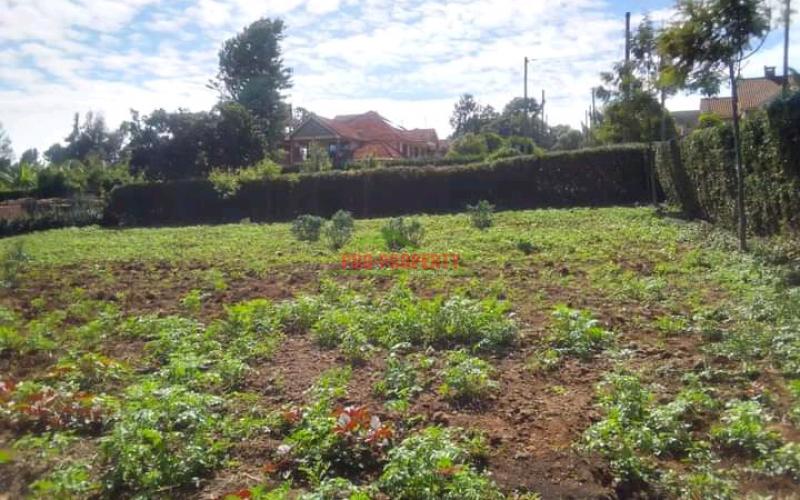 50 By 100ft Residential Plot For Sale In Muguga