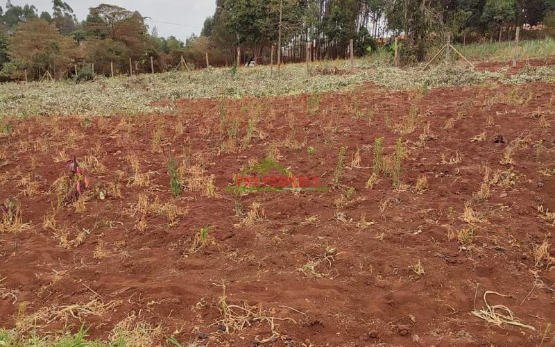 Prime 50 By 100ft Residential Plot For Sale In Gikambura @ 2.65m