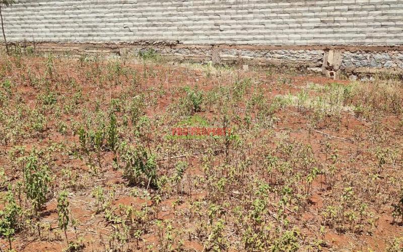 Prime 50 By 100ft Residential Plot For Sale In Kamangu @2.7m