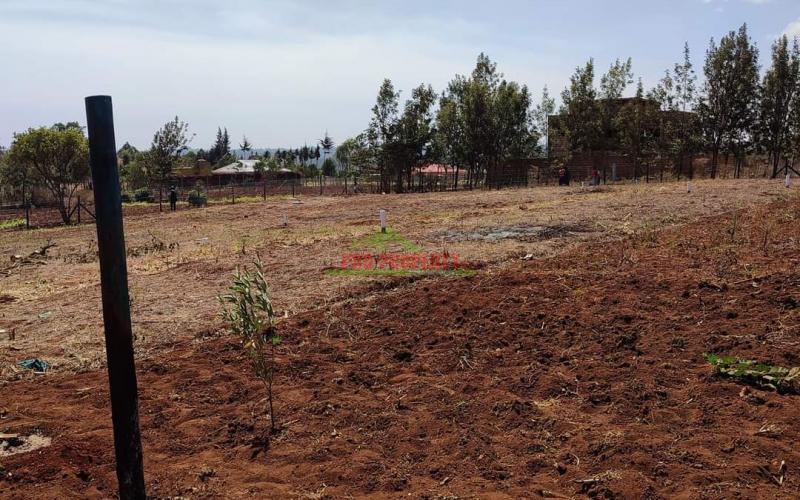 50 By 100ft Hot Selling Plots In Migumuoini @2.7m