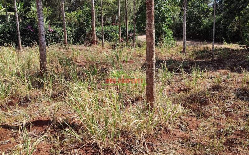 50 By 100ft Residential Plot For Sale In Ondiri, Kikuyu @2.5m