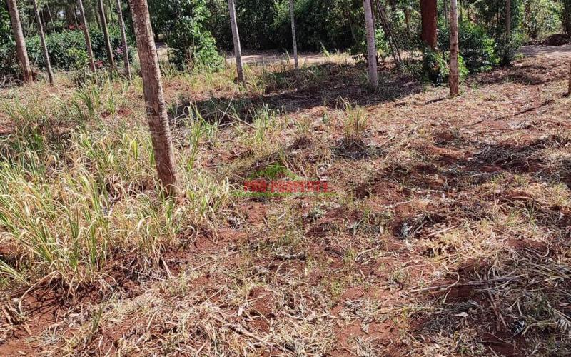 50 By 100ft Residential Plot For Sale In Ondiri, Kikuyu @2.5m
