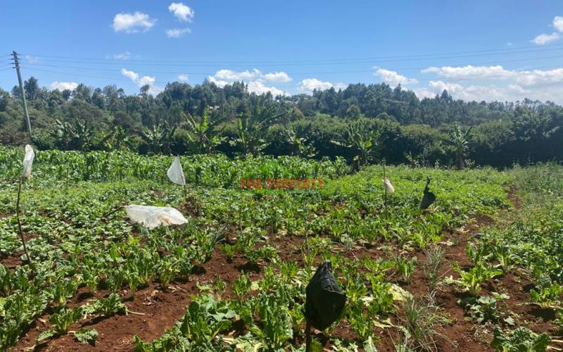 Residential Plot For Sale In Kikuyu, Ondiri.