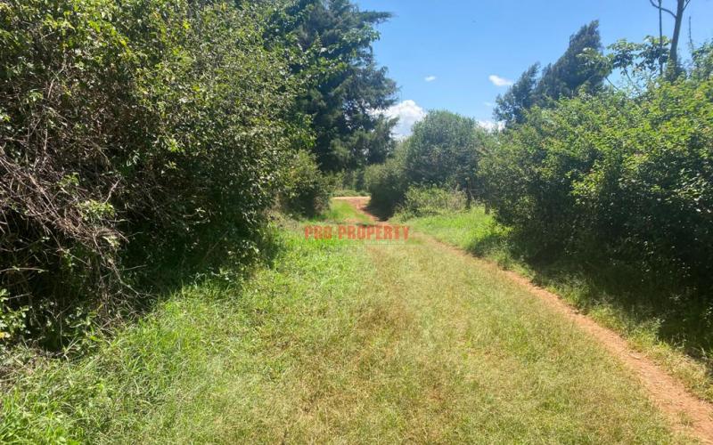 Residential Plot For Sale In Kikuyu, Ondiri.