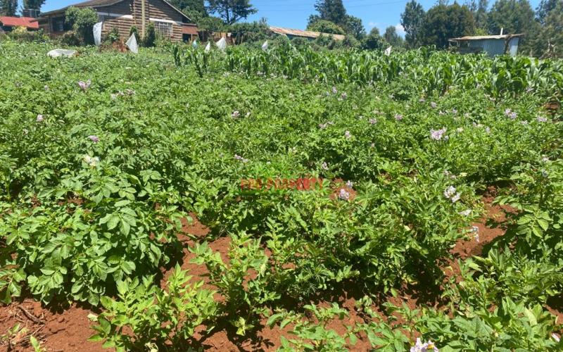 Residential Plot For Sale In Kikuyu, Ondiri.