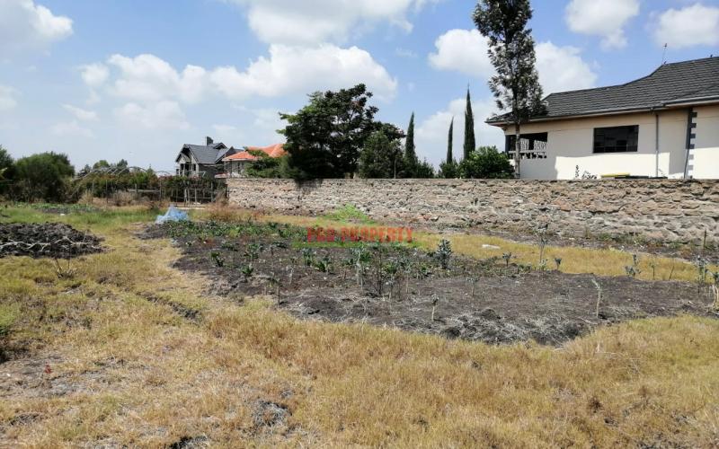 Prime Residential Land For Sale In Syokimau
