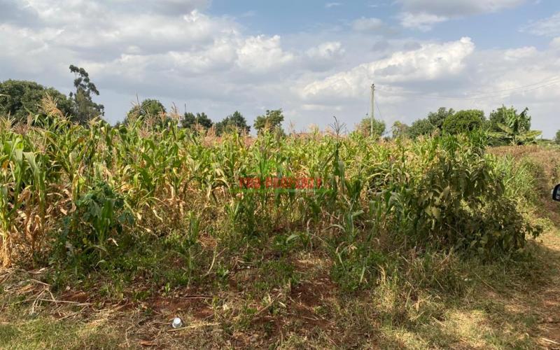 Prime Plot For Sale In Thogoto