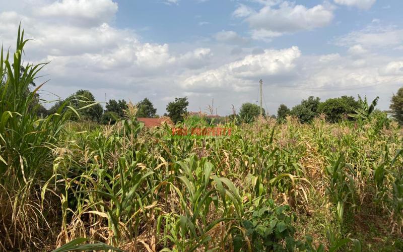 Prime Plot For Sale In Thogoto