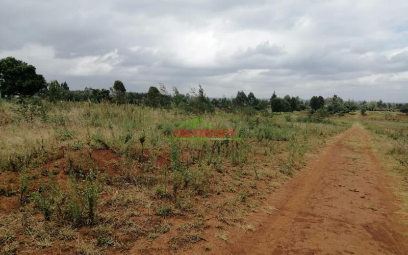 Prime Vacant Land For Sale In Kamangu Kikuyu