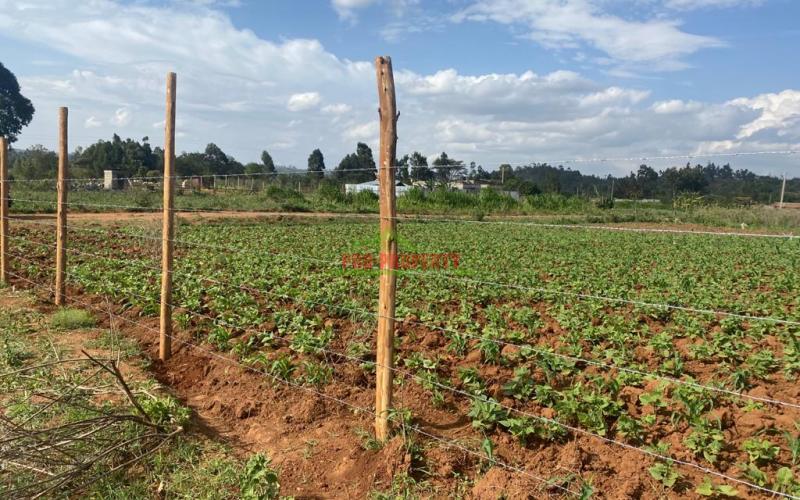 Residential Plots For Sale In Kikuyu, Lusigetti.