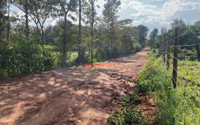 Residential Plots For Sale In Kikuyu, Lusigetti.