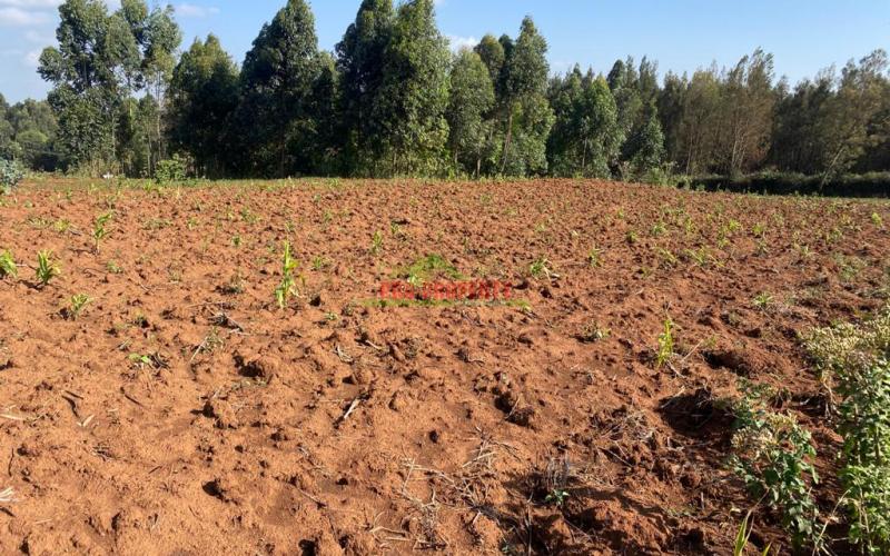 Residential Land For Sale In Kamangu