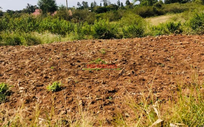 Prime Residential Plots For Sale In Thika, Gatuanyaga.