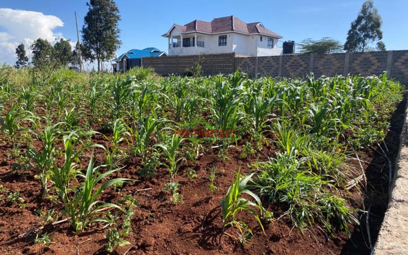 Residential Plot For Sale In Kikuyu, Kamangu.