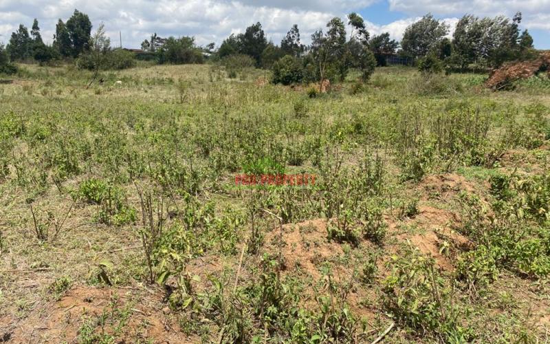Plots For Sale In Kikuyu, Kamangu.