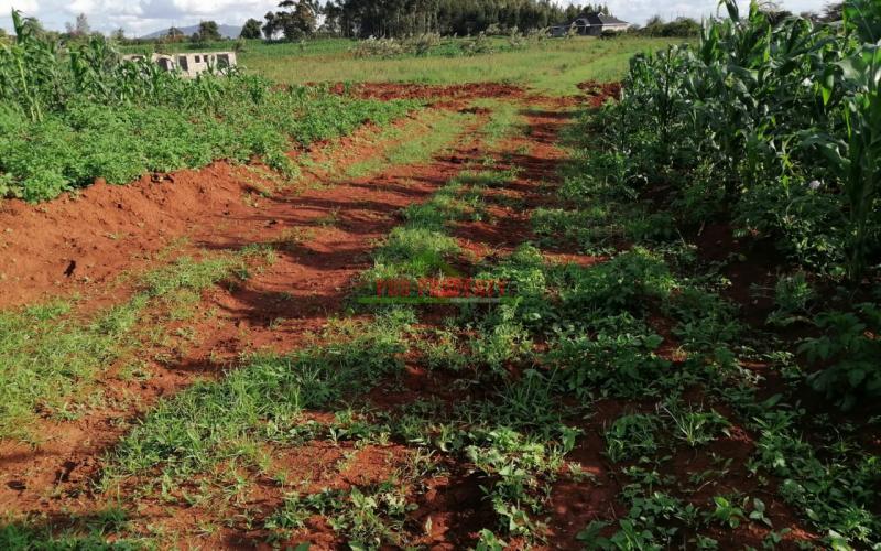 Prime Residential Plot For Sale In Kikuyu, Gikambura.