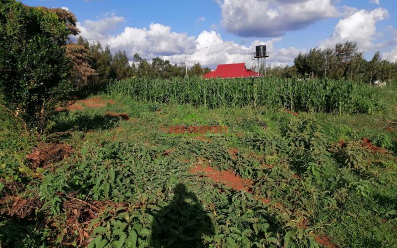 Prime Residential Plot For Sale In Kikuyu, Gikambura.