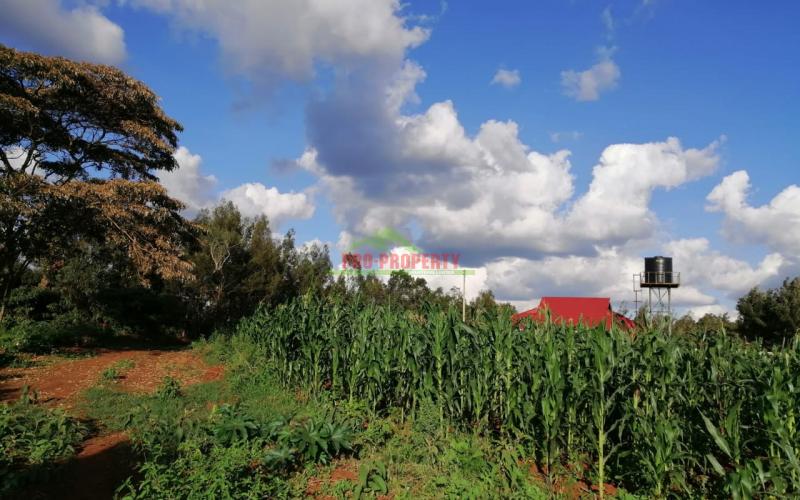 Prime Residential Plot For Sale In Kikuyu, Gikambura.