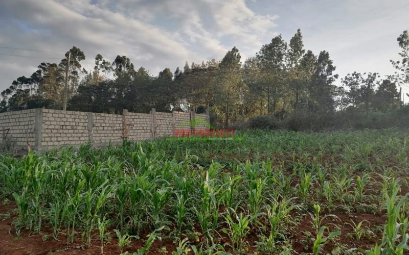 Residential Land For Sale In Kikuyu, Lusingetti.