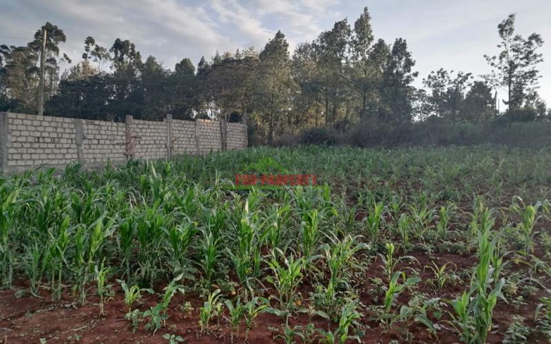 Residential Land For Sale In Kikuyu, Lusingetti.