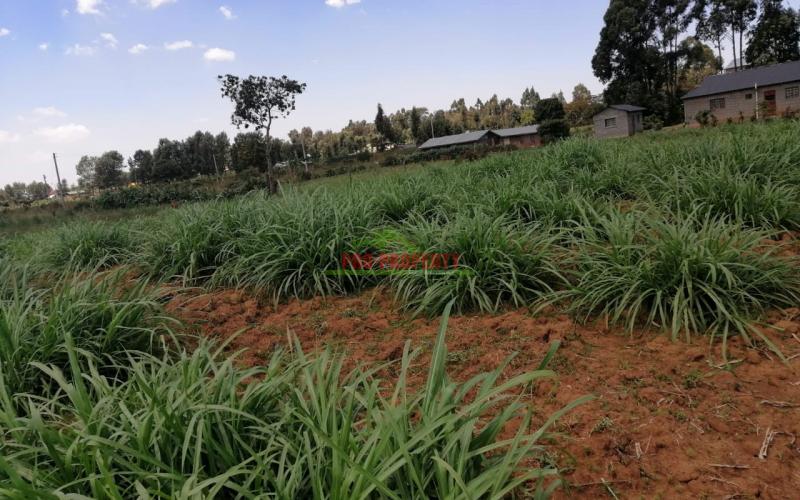 Prime Residential Plot For Sale In Kikuyu, Lusingetti