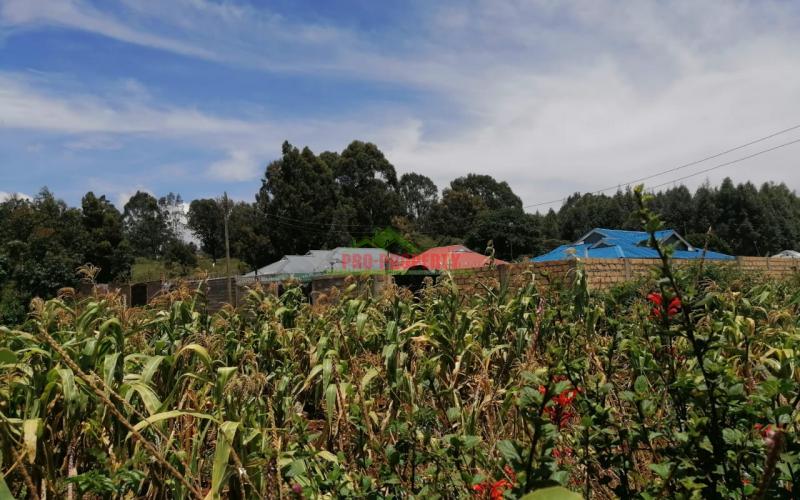 Prime Residential Plot For Sale In Kikuyu, Gikambura.
