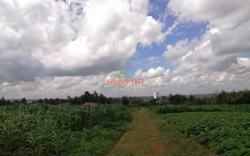 Prime Plots For Sale In Kikuyu, Kamangu.