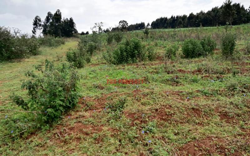 Prime Plots For Sale In Kikuyu, Kamangu.