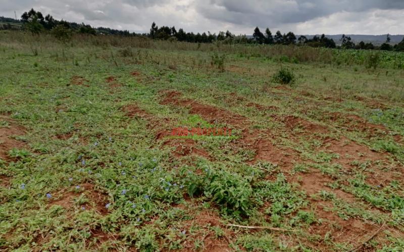 Prime Plots For Sale In Kikuyu, Kamangu.
