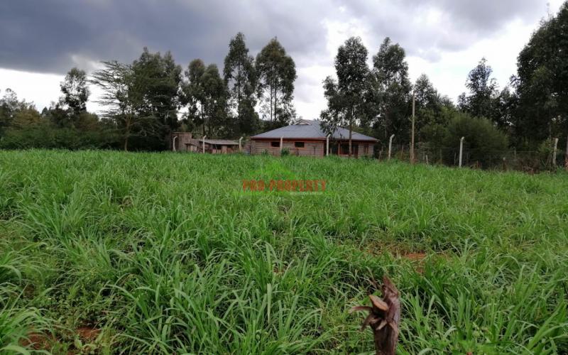 Great Plots For Sale In Kikuyu, Lusingetti.
