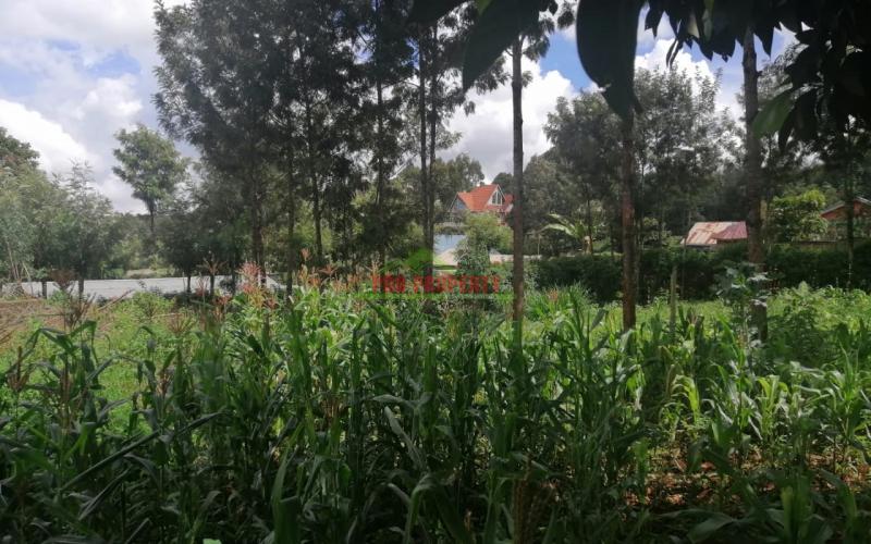 Prime Plot For Sale In Kikuyu, Ondiri.