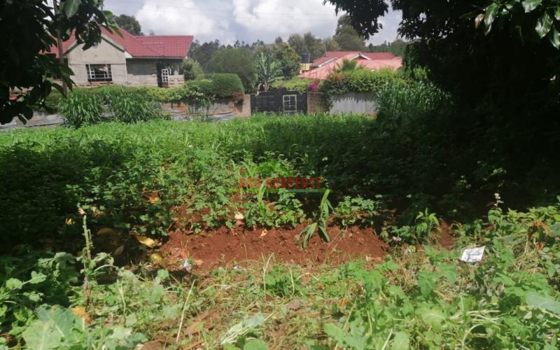 Prime Plot For Sale In Kikuyu, Ondiri.