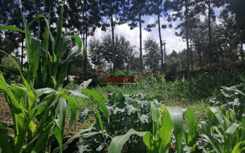 Prime Plot For Sale In Kikuyu, Ondiri.