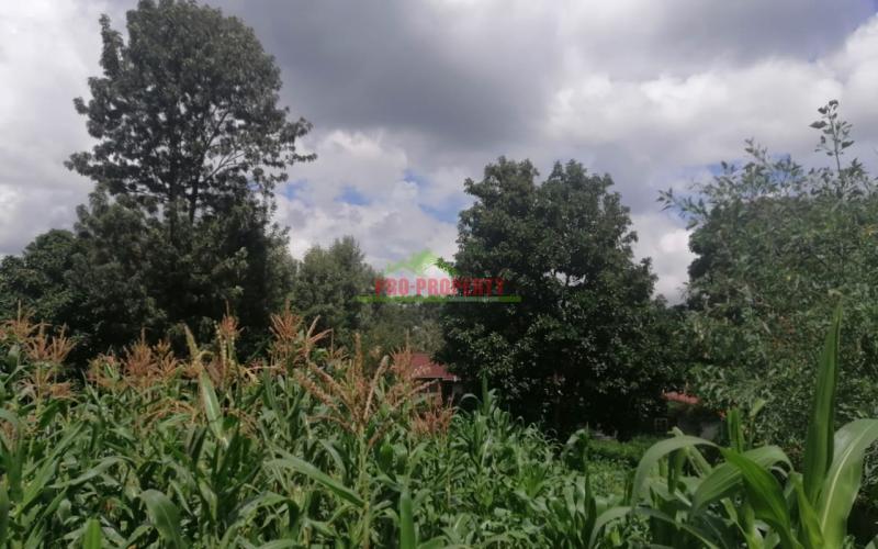 Prime Plot For Sale In Kikuyu, Ondiri.