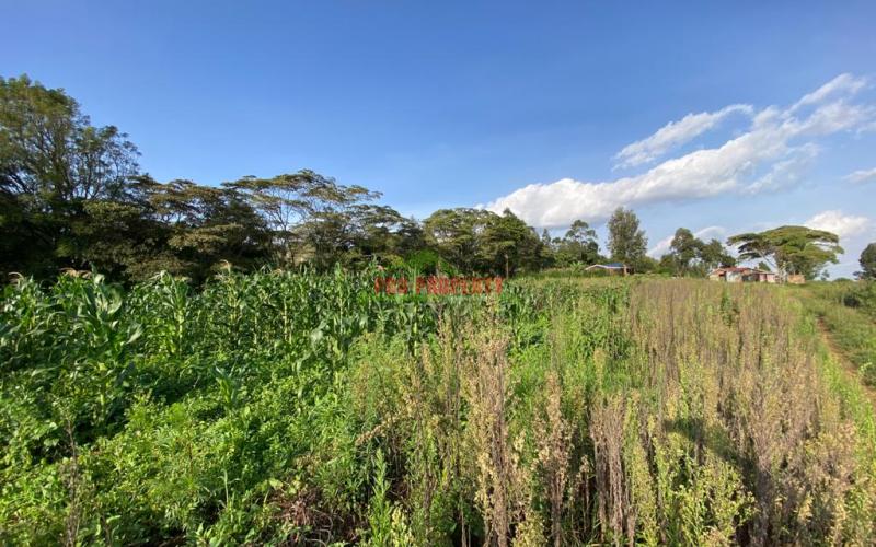 Prime Residential Plot For Sale In Kikuyu Kamangu.