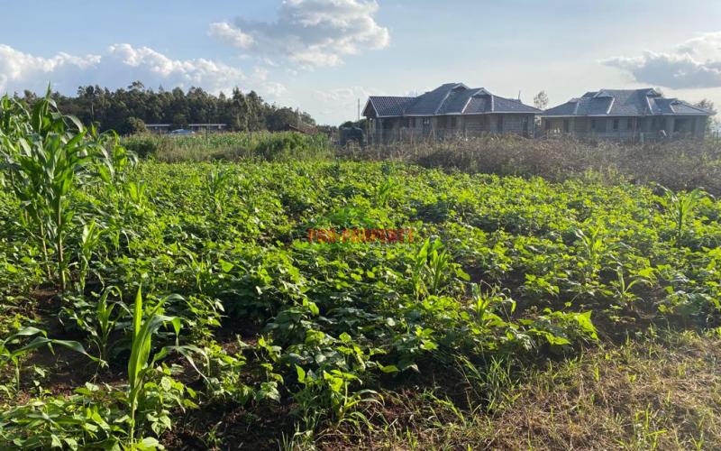 Prime Residential Plot For Sale In Kikuyu Kamangu.