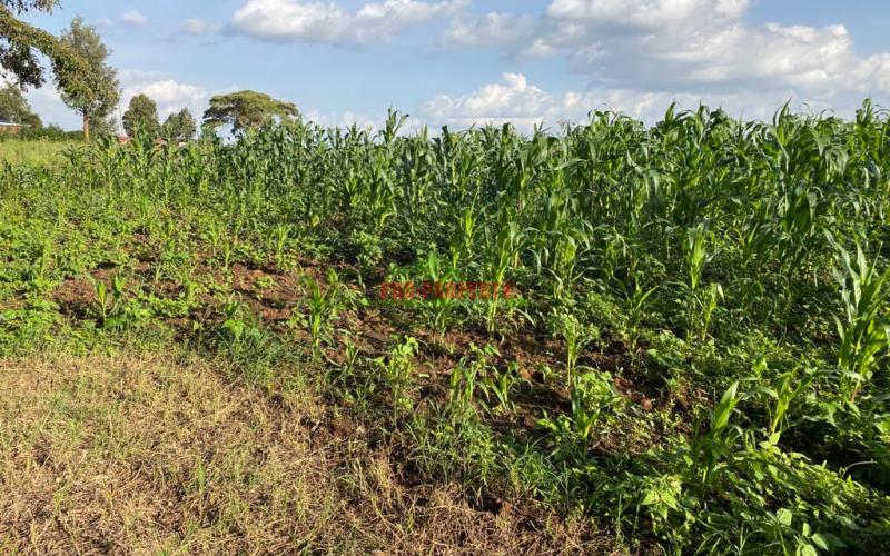 Prime Residential Plot For Sale In Kikuyu Kamangu.