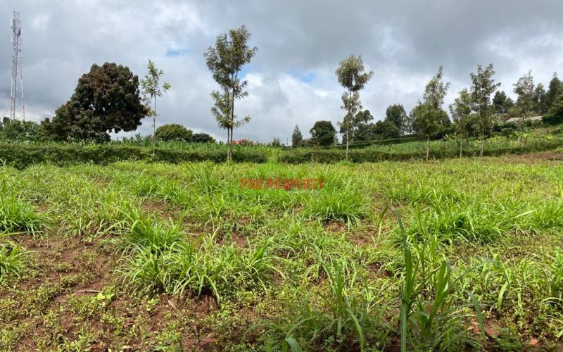 Prime Plot For Sale In Gikambura