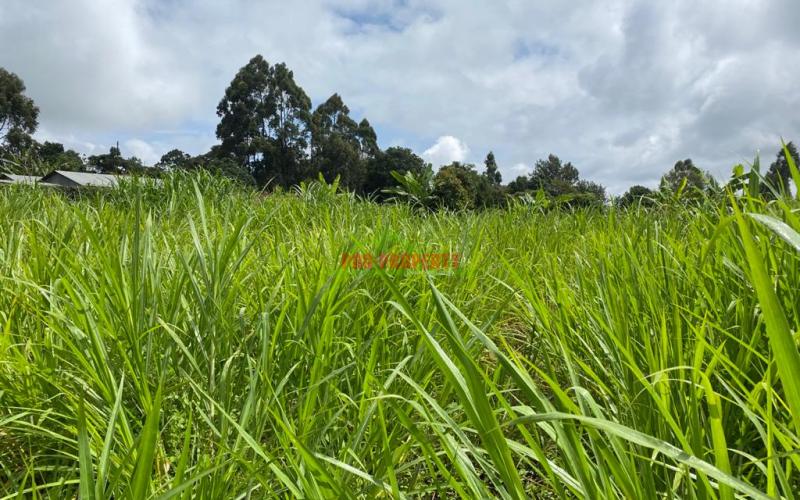 Prime Plot For Sale In Gikambura