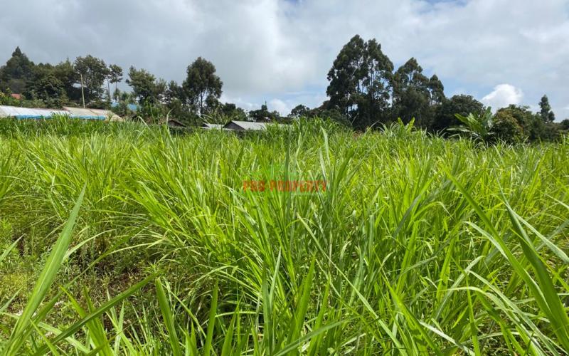 Prime Plot For Sale In Gikambura
