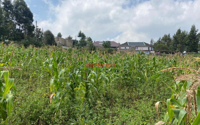Prime Residential Plots For Sale In Muguga, Thamanda.