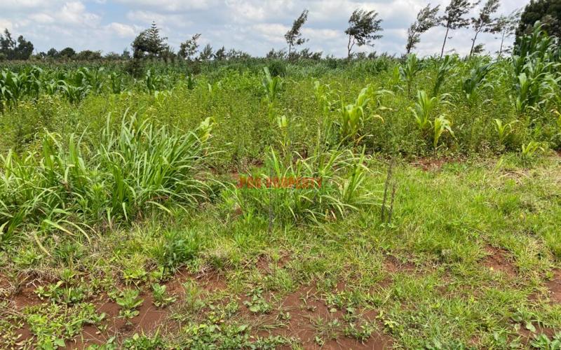 Land For Sale In Kamangu