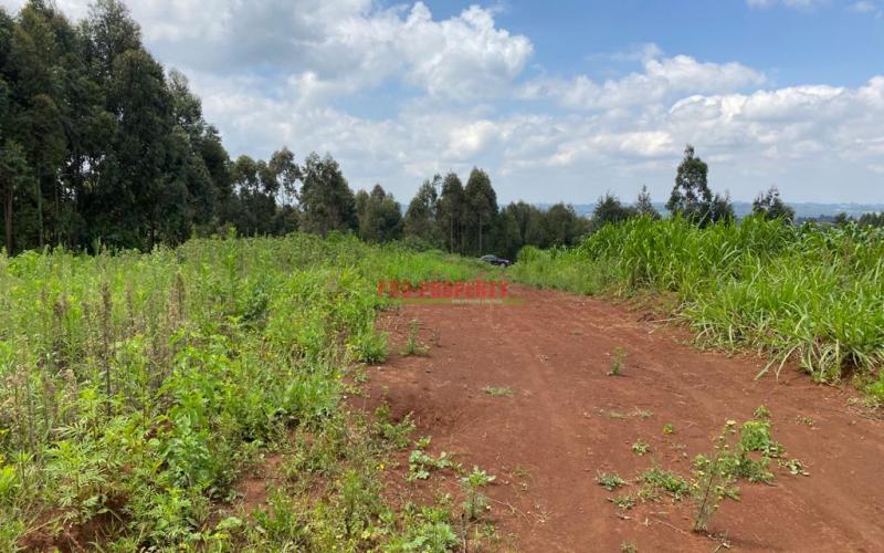 Land For Sale In Kamangu