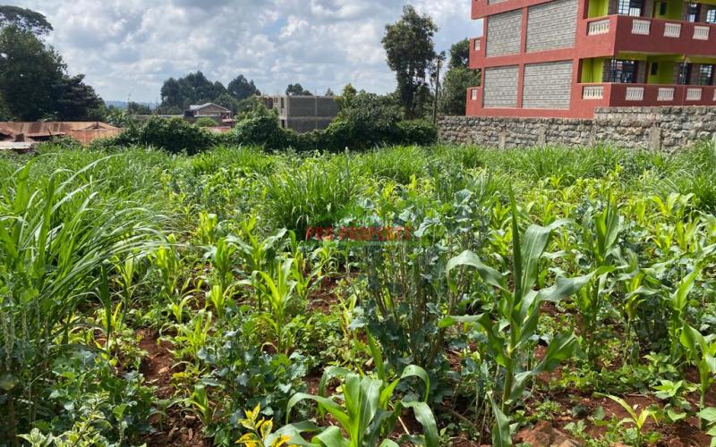 Commercial Plot For Sale In Thogoto