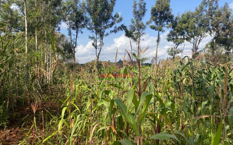 0.05 Ha Plot For Sale In Kikuyu, Lusingetti
